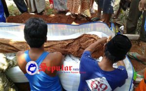 Gara-gara Rebutan Pohon Asam, Warga Ambunten Bongkar Makam