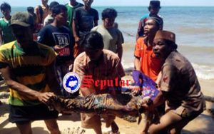 Warga Temukan Sesosok Mayat Wanita Dibibir Pantai Penuh Luka Memar