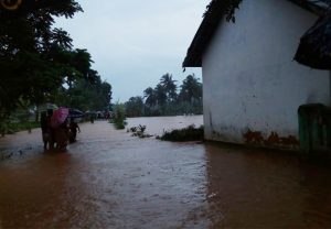 Diguyur Hujan Lebat, 120 hektar Lebih Tanaman Padi di Sumenep Terendam Air