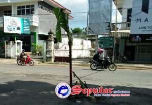 Lubang Gorong-Gorong Membesar Warga Kota Sumenep Tanam Pisang