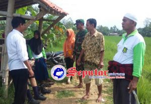 Babinsa Bersama Distan dan PPL Ambunten Sumenep Gelar Sosialisasi Tentang Hama Kepada Petani