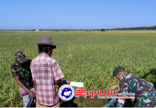 Pompa Air Rusak Babinsa Gapura Bersama Petani Langsung Cek ke Lokasi