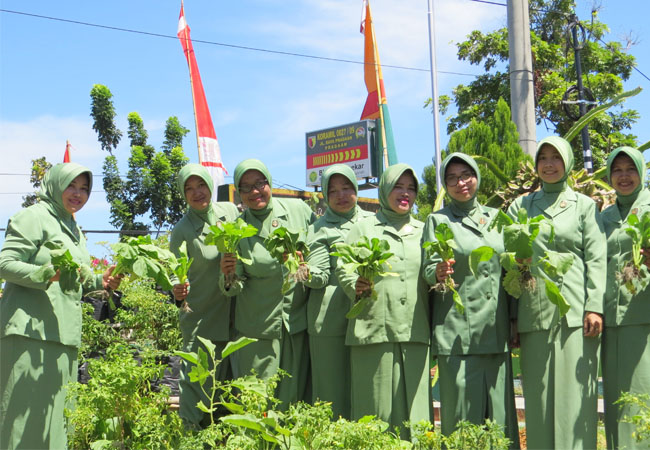 Ketua dan Pengurus Persit KCK Cabang Sumenep Panen Sayur