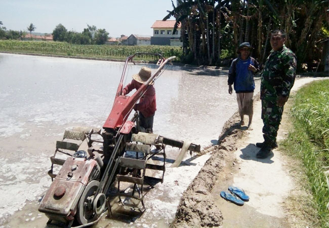 Cek Aliran Air di Sawah Danramil Guluk-Guluk Sumenep Turun ke Bawah