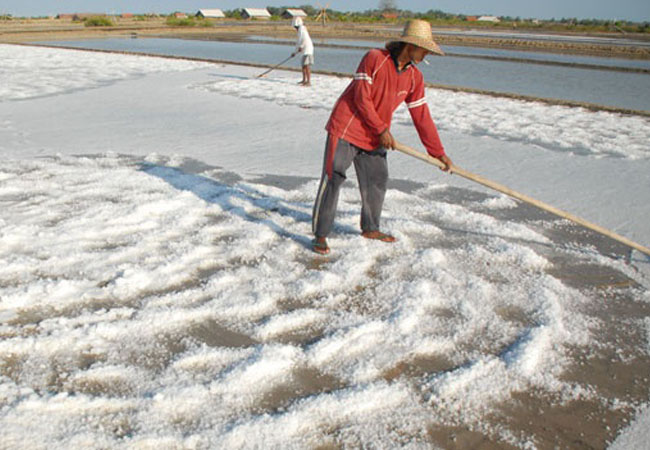 Produksi Garam di Sumenep Jauh Dari Target