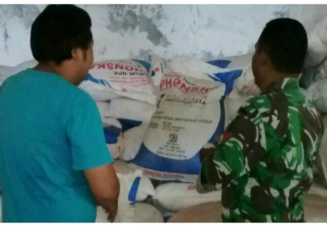 Jelang Musim Tanam Babinsa Cek Kesediaan Pupuk di Kios