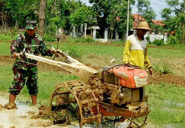 https://seputarmadura.com/wp-content/uploads/2018/12/Babinsa-Sumenep-Bantu-Siapkan-Lahan-Guna-Penguatan-Kapasitas-Produksi-Pangan.jpg
