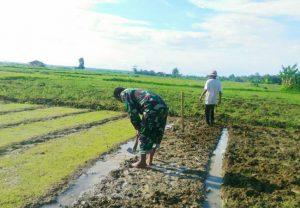 https://seputarmadura.com/wp-content/uploads/2018/12/Dorong-Petani-Pada-Masa-Tanam-Babinsa-Koramil-Gapura-Sumenep-Turun-ke-Sawah.jpg