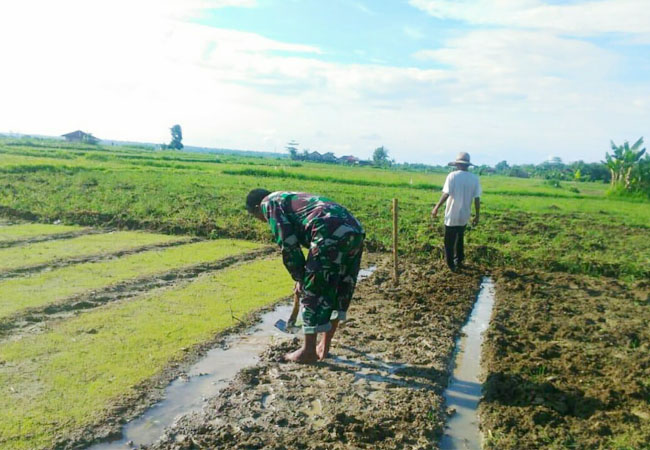https://seputarmadura.com/wp-content/uploads/2018/12/Dorong-Petani-Pada-Masa-Tanam-Babinsa-Koramil-Gapura-Sumenep-Turun-ke-Sawah.jpg