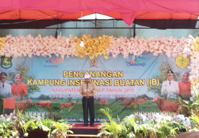 https://seputarmadura.com/wp-content/uploads/2019/08/8-Desa-di-Sumenep-Dicanangkan-Sebagai-Kampung-IB.jpg