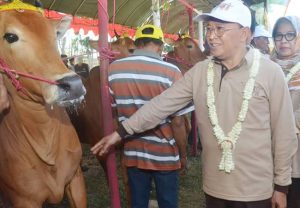 Kampung IB