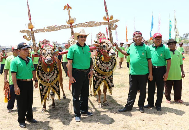 https://seputarmadura.com/wp-content/uploads/2019/09/Pagelaran-Sapi-Tanggapan-di-Sumenep-Harus-Tetap-Dilestarikan-Sebagai-Warisan-Budaya-.jpg