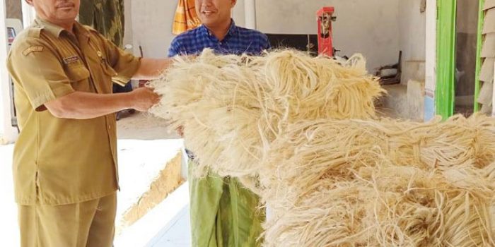 https://seputarmadura.com/wp-content/uploads/2019/12/Bantuan-DBHCHT-Mampu-Meningkatkan-Ekonomi-Kelompok-Tani.jpg