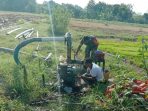 https://seputarmadura.com/wp-content/uploads/2020/02/Pendampingan-Babinsa-Koramil-Gapura-Kepada-Petani-Padi.jpg