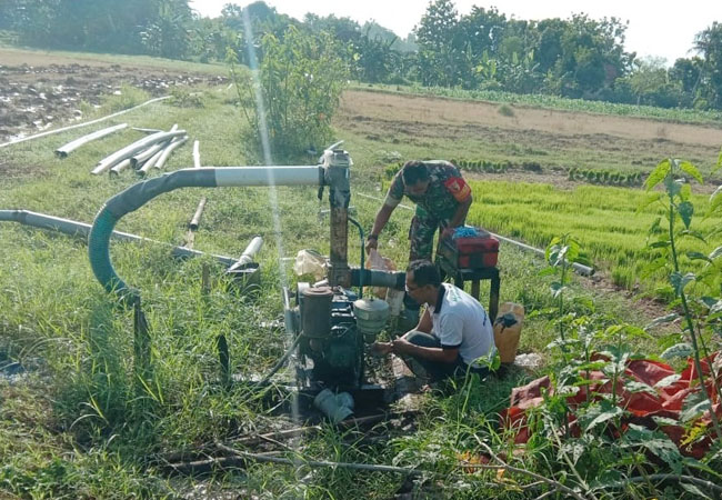 https://seputarmadura.com/wp-content/uploads/2020/02/Pendampingan-Babinsa-Koramil-Gapura-Kepada-Petani-Padi.jpg