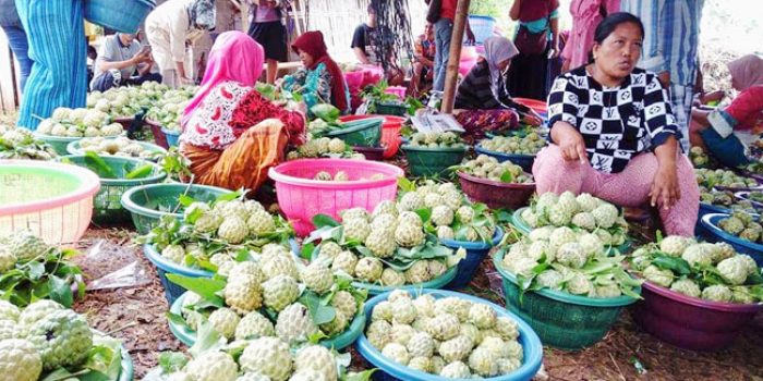 https://seputarmadura.com/wp-content/uploads/2020/05/Berburu-Buah-Srikaya-di-Musim-Panen-di-Kabupaten-Sumenep.jpg