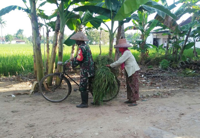 https://seputarmadura.com/wp-content/uploads/2020/07/Kiprah-Babinsa-Koramil-Gapura-ke-Warga-Binaan-Ditengah-Pendemi-Covid-19-.jpg