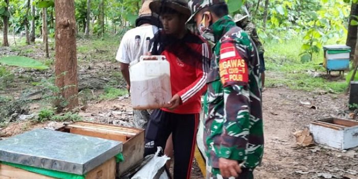 https://seputarmadura.com/wp-content/uploads/2020/11/Kelompok-Tani-Madu-Menjadi-Perhatian-Babinsa-Koramil-Lenteng.jpg