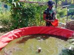 https://seputarmadura.com/wp-content/uploads/2020/11/Koramil-Batuputih-Budidaya-9-ribu-Ikan-Lele-.jpg
