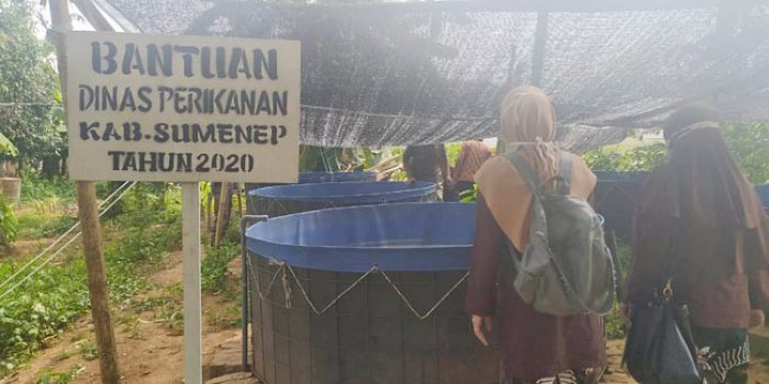 https://seputarmadura.com/wp-content/uploads/2020/12/Bantuan-DBHCHT-Sumenep-2020-di-Monitoring-dan-Evaluasi.jpg