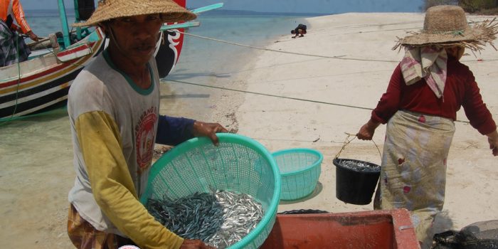 https://seputarmadura.com/wp-content/uploads/2024/11/Dinas-Perikanan-Sumenep-Terus-Optimalisasi-Produk-Olahan-Berbahan-Baku-Ikan.jpg